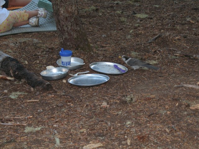 8.26-27.06 Twin Lakes & Palmateer Point 070 